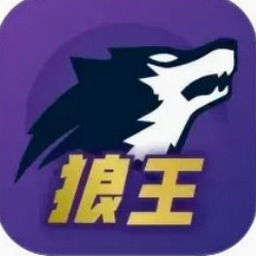 杀了这个狗皇帝橙光破解完结