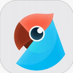 兔子磨牙声音代表什么