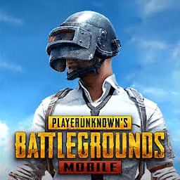 pubg self service