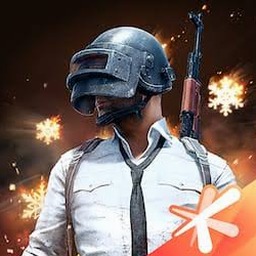 pubg self service国服