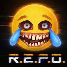 repo是什么意思手机版角色
