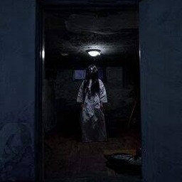 the ghost 攻略单机版