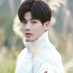 心动警报 李菲
