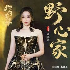 野心家 张月