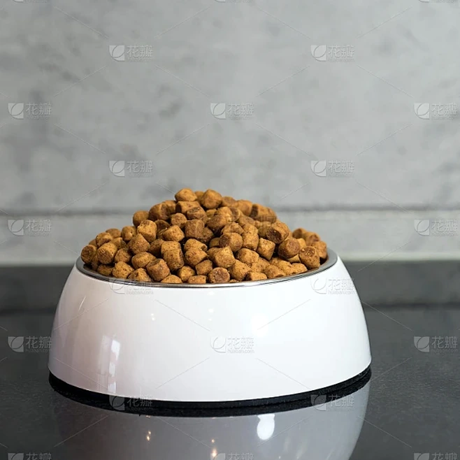 这碗狗粮有点甜攻略