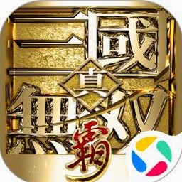 真三国无双霸 闪退