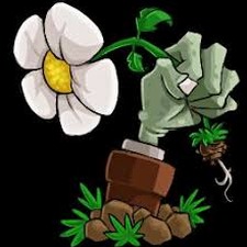 植物大战僵尸无名版7-5怎么过关