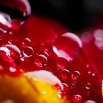 水滴公司