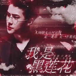 我是黑莲花简谱