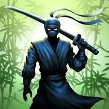 忍者武士暗影格斗电影